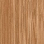 Mountain Pine